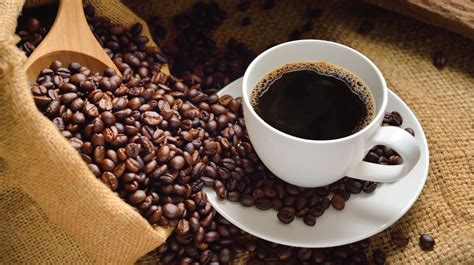 kopi keprok nikmati sensasi rasa kopi  kekinian  berbeda
