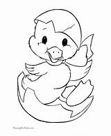 Duck Coloring Easter Drawings Kids Pages Cute Library Clipart sketch template