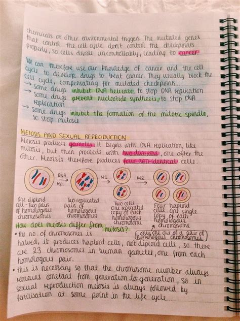 revise  die biology notes science notes study biology