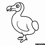 Dodo Thecolor Extinct Flightless sketch template
