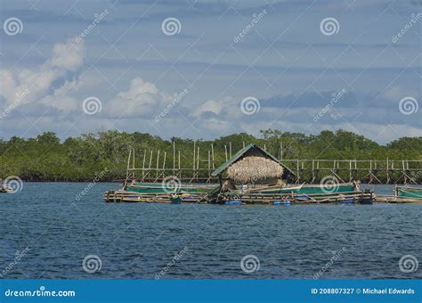 fish    small hut   coast  tubigon bohol philippines  enclosure filled