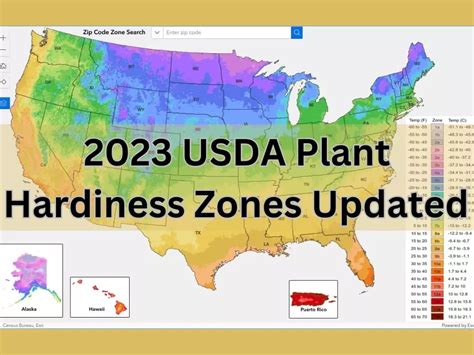 usda plant hardiness zone map updated   garden style