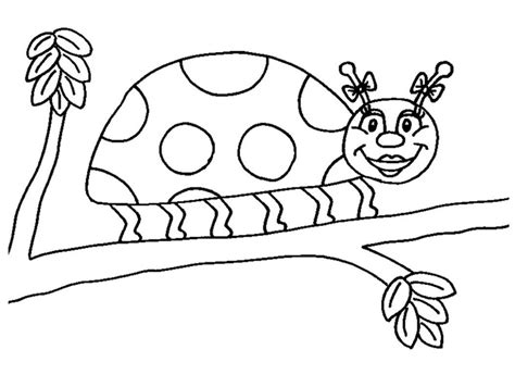 ladybug coloring pages photo animal place