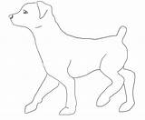 Dog Walking Drawing Walk Getdrawings sketch template
