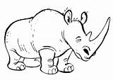 Rhino Coloring Pages Rhinoceros Outline Tattoo Printable Animals Animated Color Baby Tired Getcolorings Animal Kids sketch template
