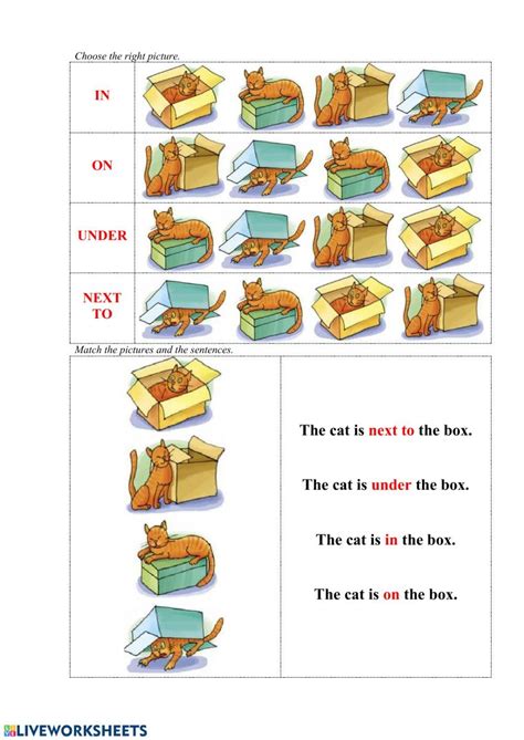 prepositions  place interactive worksheet prepositions english