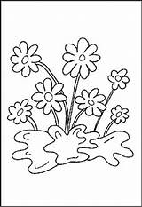 Blumen Malvorlagen Ausmalbilder Malvorlage Blume Ausdrucken Sommerblumen Pflanzen sketch template