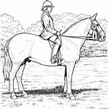 Horse Coloring Color Pages Sheet Printable Equestrian Realistic Kids Stall Print Derby Clipart Book Info sketch template