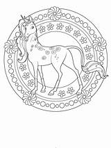 Einhorn Unicorn sketch template