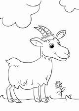 Goat Cabras Koza Capre Dibujar Kolorowanka Mammiferi Cabra sketch template