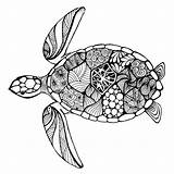 Zentangle Tortue Coloration sketch template