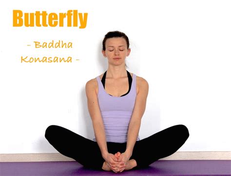 butterfly pose hatha yoga yoga poses