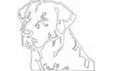 Dxf Dog Labrador  Retriever 3axis sketch template