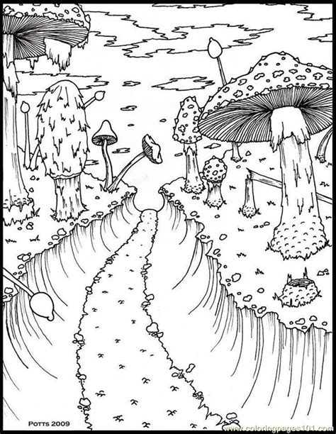 forest coloring pages  coloring pages  kids peru wall