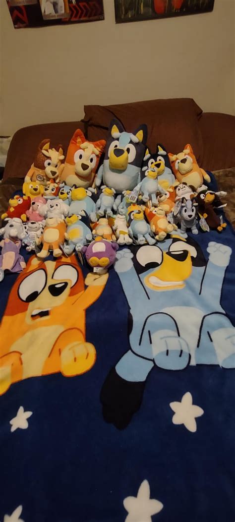 bluey stuff      bluey blanket  crazy