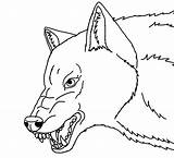 Snarling Lineart sketch template
