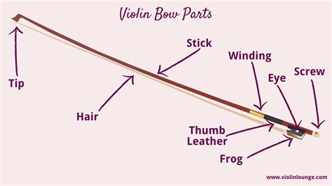 violin bow parts anatomy function  bow division violin lounge