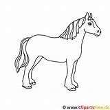 Pferd Pferde Malvorlage Malvorlagen Erschwinglich Luxus Zeichnungen Pferdekopf Kinderbilder Titel sketch template