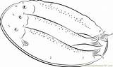 Herring Connect Plate Fish Dots Dot sketch template