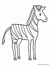 Zebra Coloring Drawing Pages Sketch Easy Outline Simple Line Animals Animal Kids Gambar Printable Stripes Mewarnai Without Draw Drawings Color sketch template