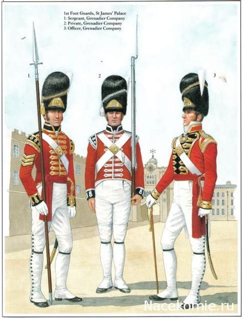 wellingtons st foot guards st james palace sergeant grenadier