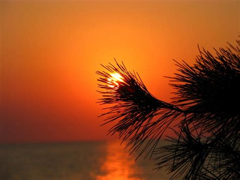 orange and red sunset over water peaceful breath · the epic self