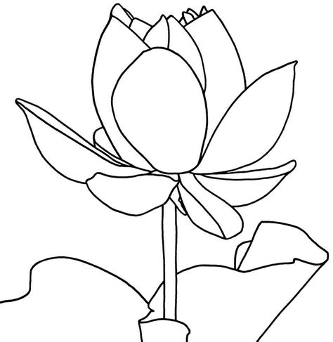 printable lotus coloring pages  kids