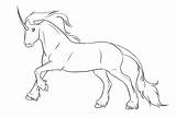 Unicorn Lineart Deviantart sketch template