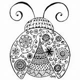 Mandala Coloring Ladybug Pages Mandalas Zentangles Discipline Animals Doodles Drawing Lady Freedom Choose Board Draw Animal Getdrawings חיות דפי ציעה sketch template