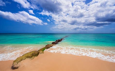 Paradise Beach Beaches Of Barbados In Photos Lizzy Davis