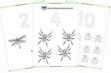 Eyfs Colouring Printable Early Years Minibeasts Ey Owls Counting Resource Resources Little Sheets sketch template