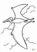 Dinosaur Flying Coloring Pages Color Getcolorings Quetzalcoatlus sketch template