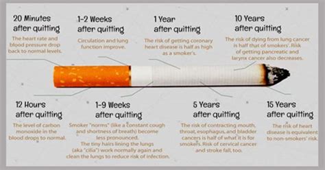 Here Is What Happens To Your Body When You Quit Smoking