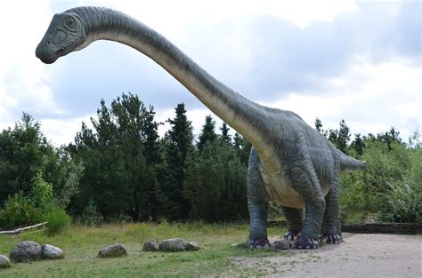 de dinosaurus maakte overstap van zuid amerika naar groenland door klimaatverandering la chispa