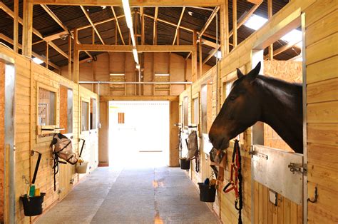 amazing horse barns    star hotels horse barns