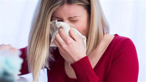 symptome bei allergien das sind die haeufigsten allergischen reaktionen symptome diagnose