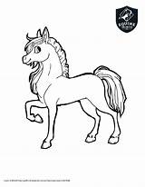 Coloring Pages Kids Unlimited Equine Inc Horse sketch template