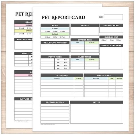 printable pet report card bundle daily care sheet etsy pet sitting