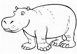 Hippo Coloring Pages Amazing Outline Drawing Color Netart Face Printable Getdrawings sketch template