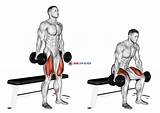 Squat Bench Dumbbell Homegymreview sketch template