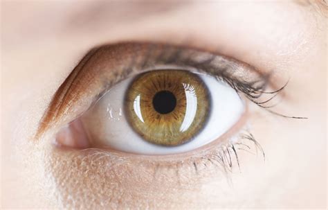 aseguran  tener ojos marrones incrementa posibilidad de padecer trastorno afectivo infofueguina