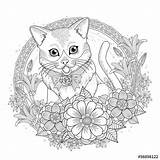 Coloring Pages Kitty Cat Floral Adult Wreath Mandala Katten Adorable Exquisite Choose Board 123rf Line Animal Verkocht Door sketch template