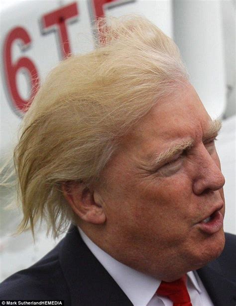 Best 25 Donald Trump Hair Ideas On Pinterest Donald