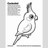 Cockatiel Coloring Designlooter Sample 26kb 400px sketch template