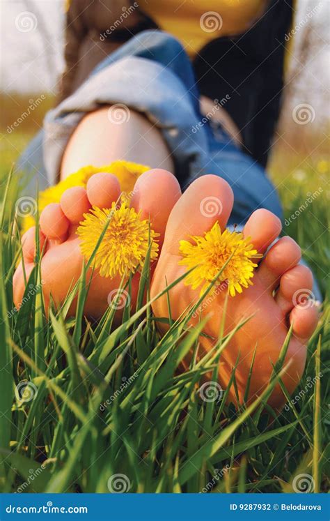 feet   grass stock photo image  barefoot leave