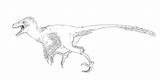 Utahraptor Lines Pages Deviantart Coloring Velociraptor Dilophosaurus Template Sketch Carnotaurus sketch template