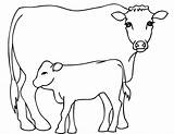 Vaca Bezerro Vache Pintar Dairy Mamãe sketch template