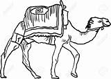 Camel Drawing Caravan Clipart Stock Kamel Schwarz Getdrawings Illustration Zeichnungen Vector Clipartmag Backround Gemerkt Von sketch template