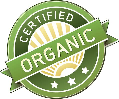 organic food    food