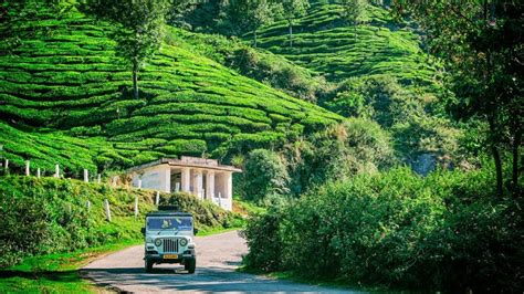 Best Hill Stations To Visit In South India During Summer